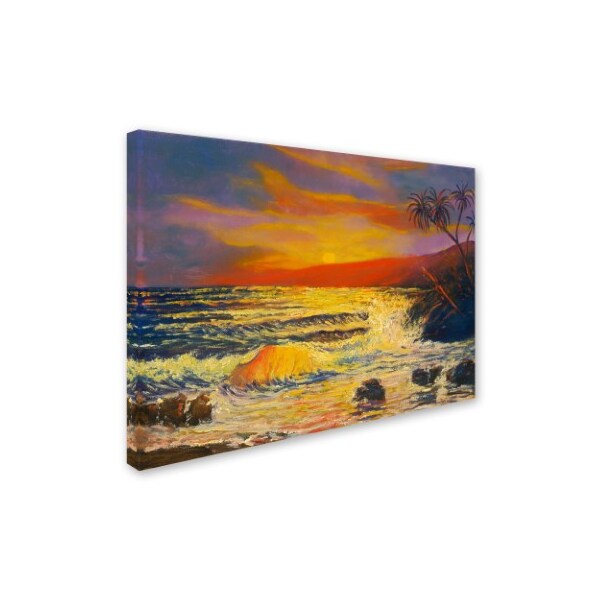 Manor Shadian 'Maui Sunset' Canvas Art,14x19